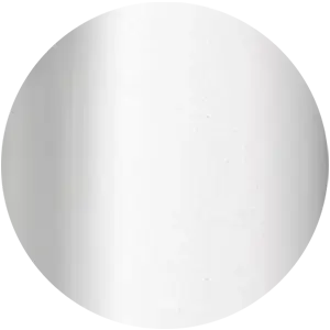 POLISHED CHROME 26