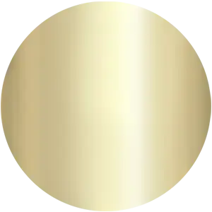 FOREVER BRASS PVD 01